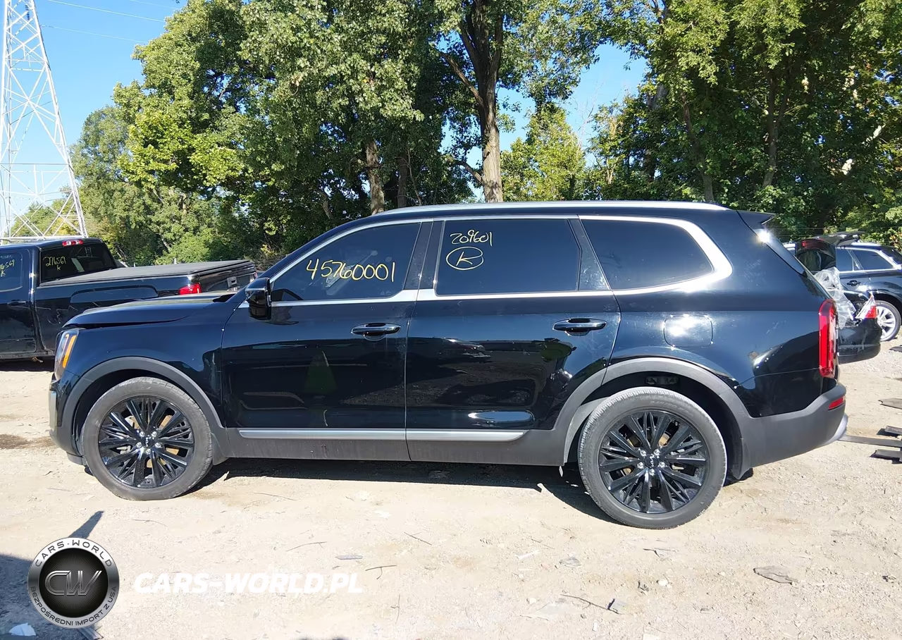 2022 Kia Telluride Sx VIN:5XYP5DHC7NG209601 - 14