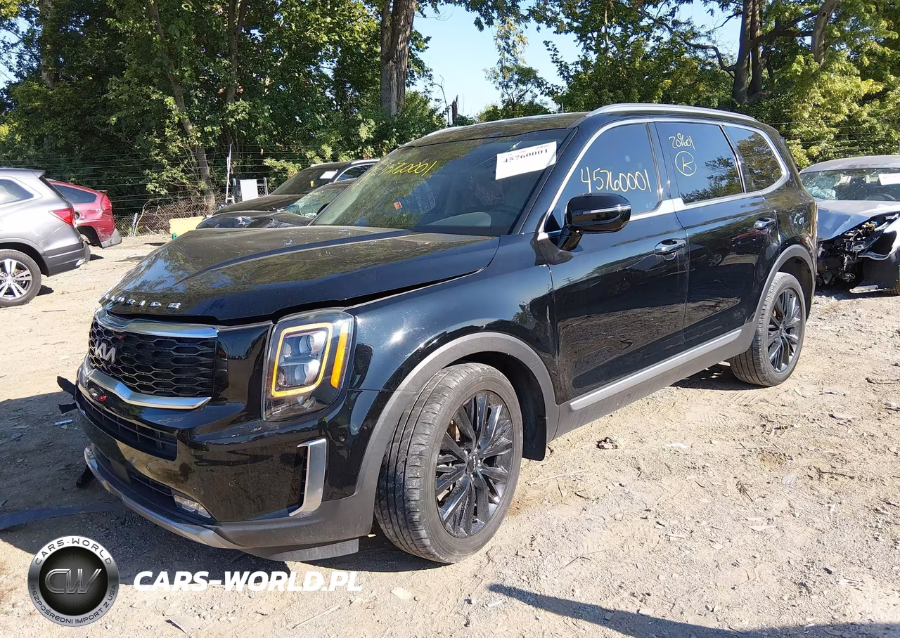 2022 Kia Telluride Sx VIN:5XYP5DHC7NG209601 - 2