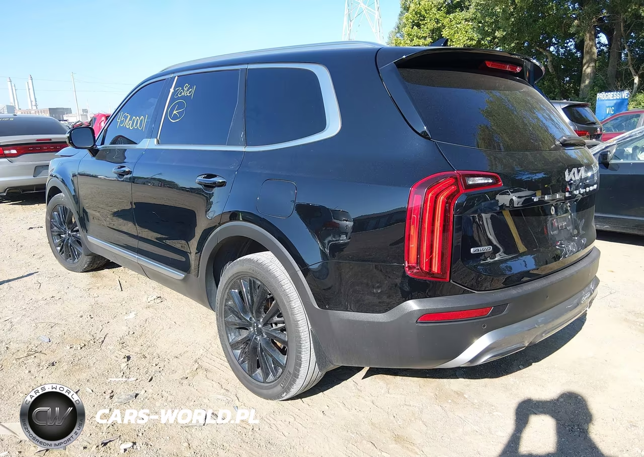 2022 Kia Telluride Sx VIN:5XYP5DHC7NG209601 - 3