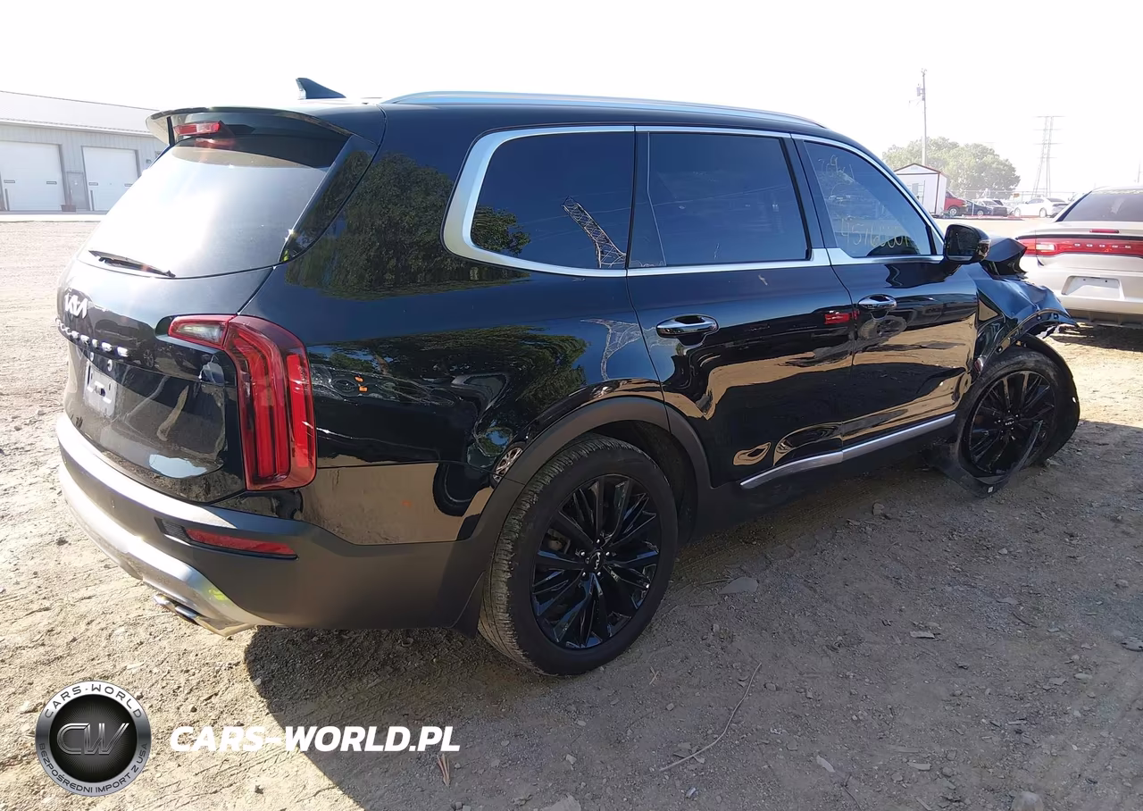 2022 Kia Telluride Sx VIN:5XYP5DHC7NG209601 - 4