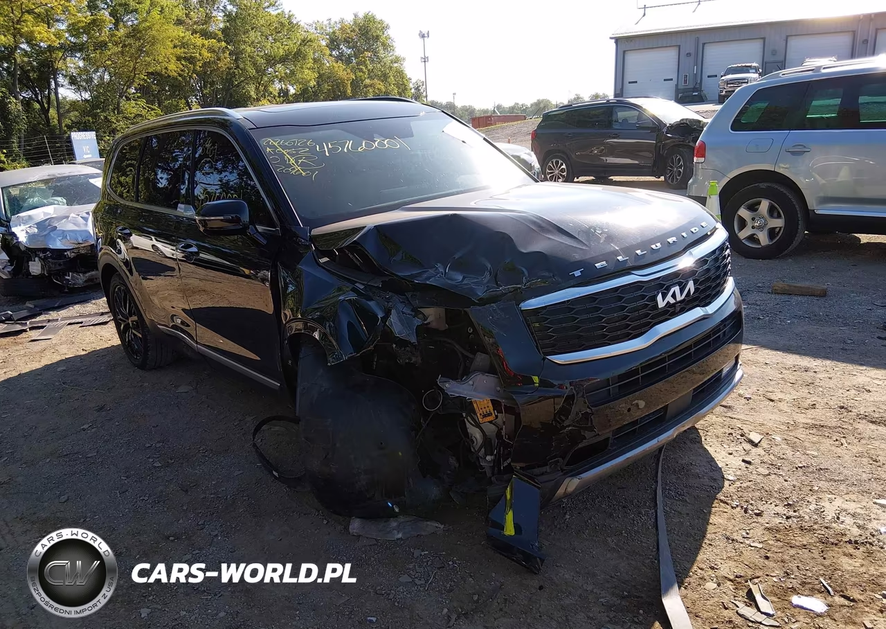 2022 Kia Telluride Sx VIN:5XYP5DHC7NG209601 - 6