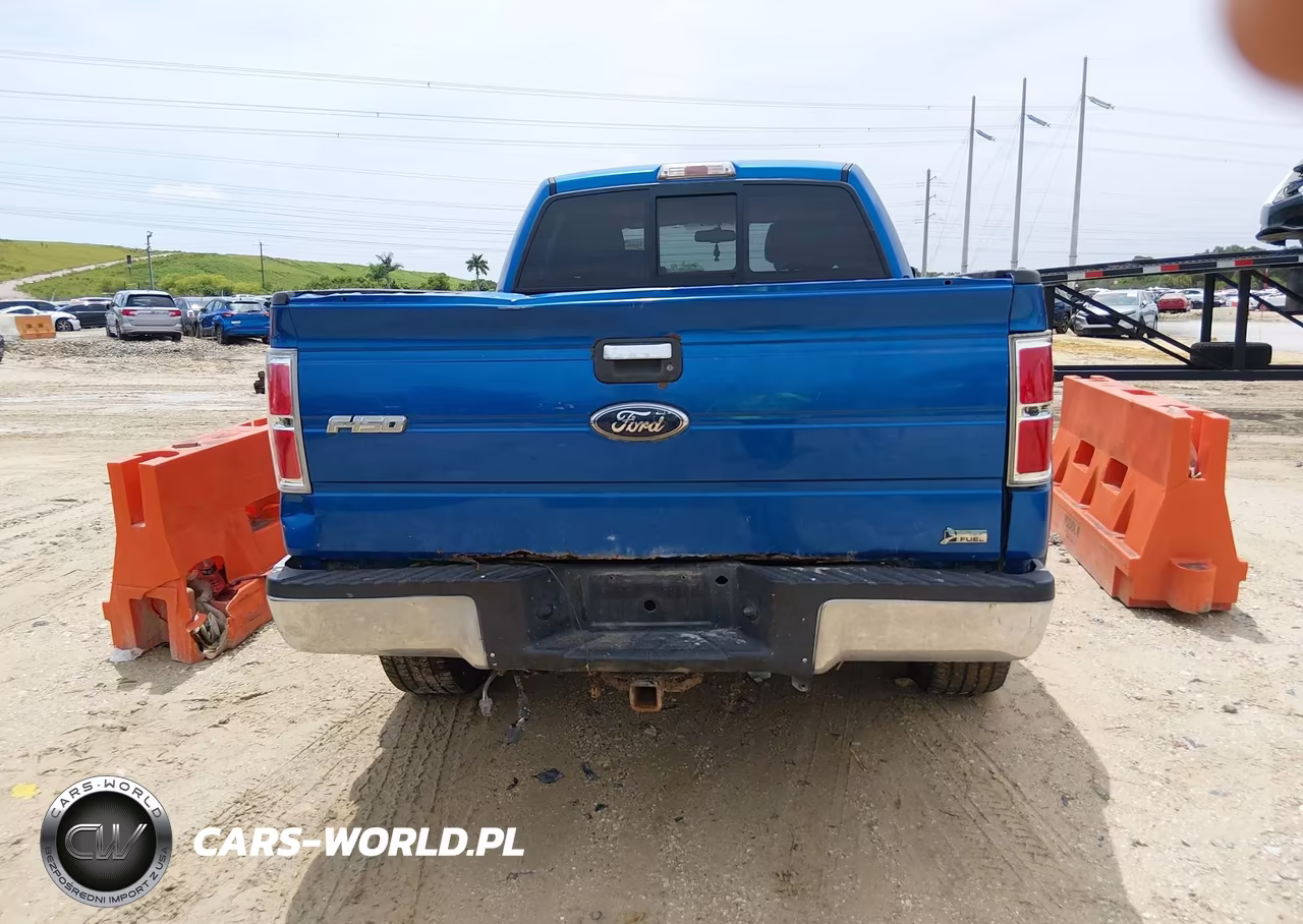 2010 Ford F-150 Fx4-Harley-Davidson-King Ranch-Lariat-Platinum-Xl-Xlt VIN:1FTFW1EV4AFA26277 - 16