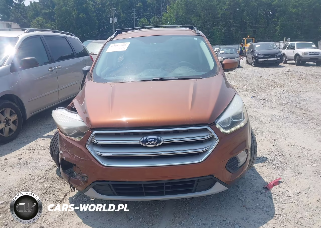 2017 Ford Escape Se VIN:1FMCU0GD6HUB77677 - 12