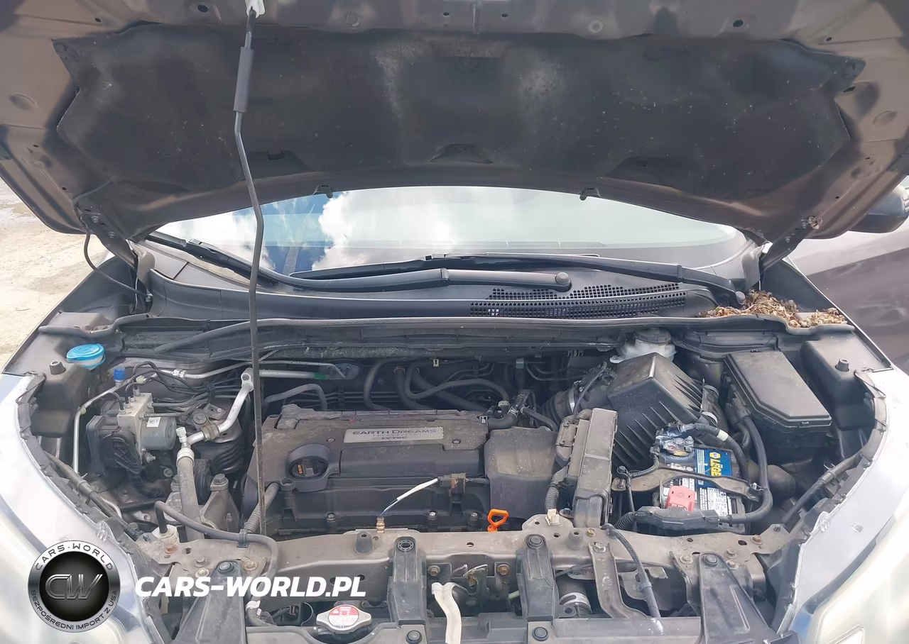 2015 Honda Cr-V Lx VIN:5J6RM4H3XFL067272 - 10
