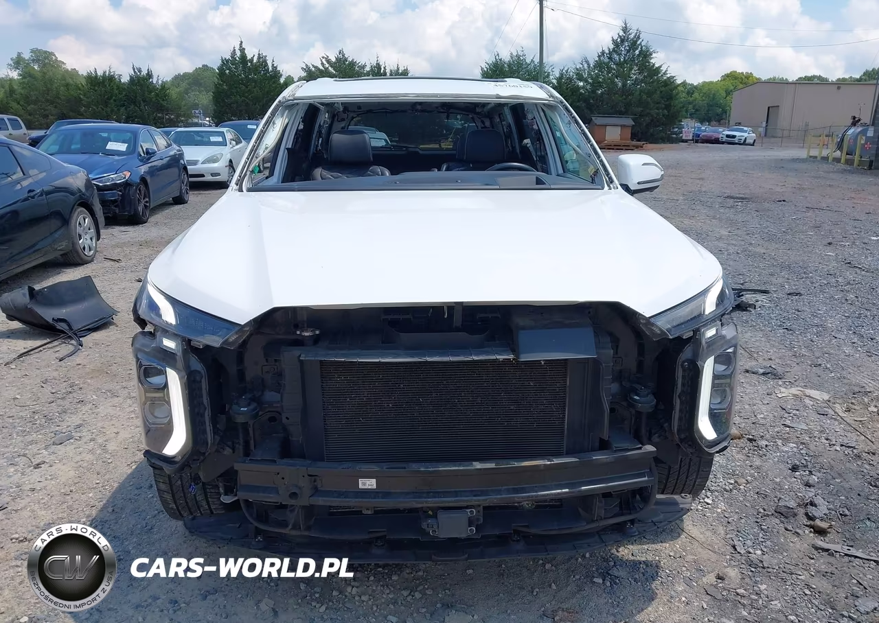 2021 Hyundai Palisade Calligraphy VIN:KM8R7DHEXMU314114 - 12