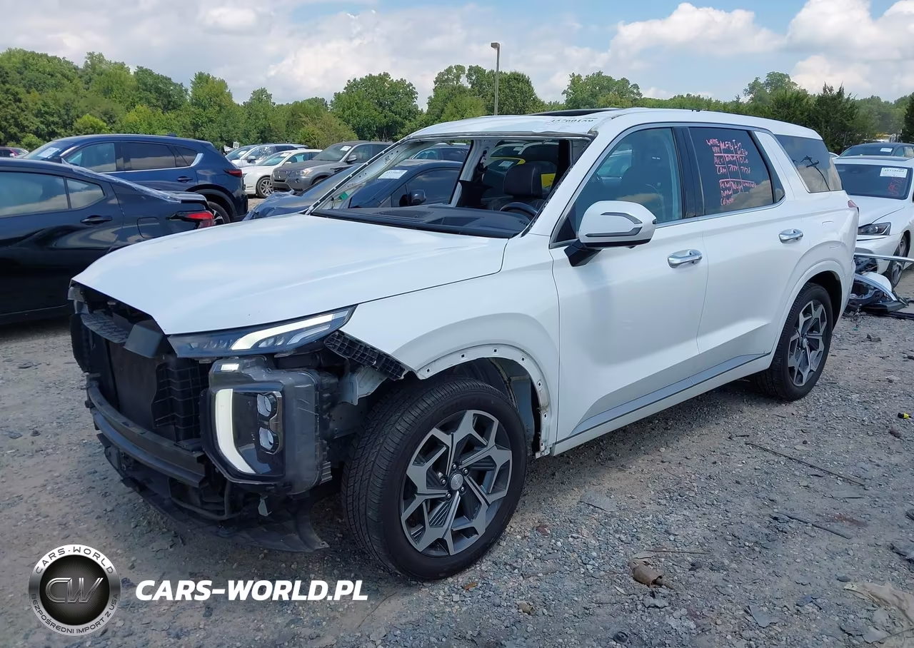 2021 Hyundai Palisade Calligraphy VIN:KM8R7DHEXMU314114 - 2