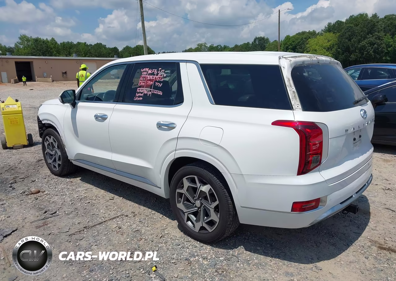 2021 Hyundai Palisade Calligraphy VIN:KM8R7DHEXMU314114 - 3