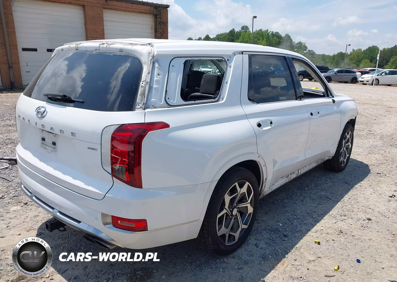 2021 Hyundai Palisade Calligraphy VIN:KM8R7DHEXMU314114 - 4