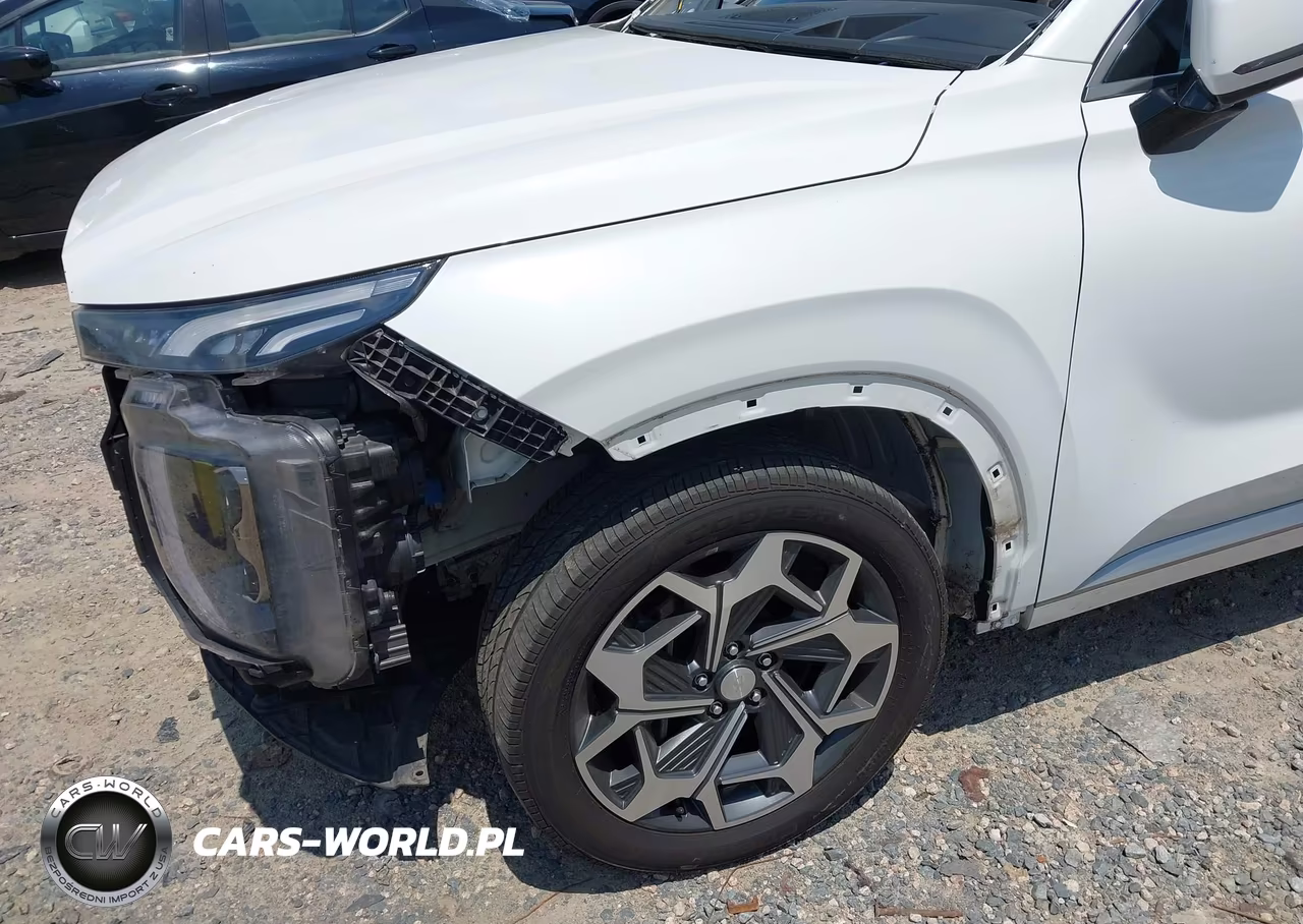 2021 Hyundai Palisade Calligraphy VIN:KM8R7DHEXMU314114 - 6