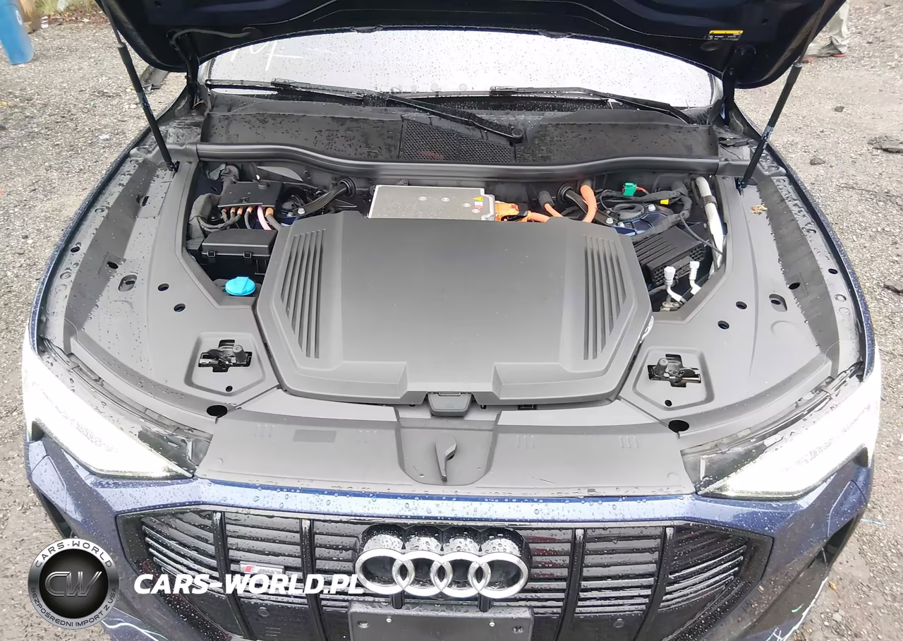 2022 Audi E-Tron Sportback Premium S Line Quattro VIN:WA11AAGE3NB028602 - 10