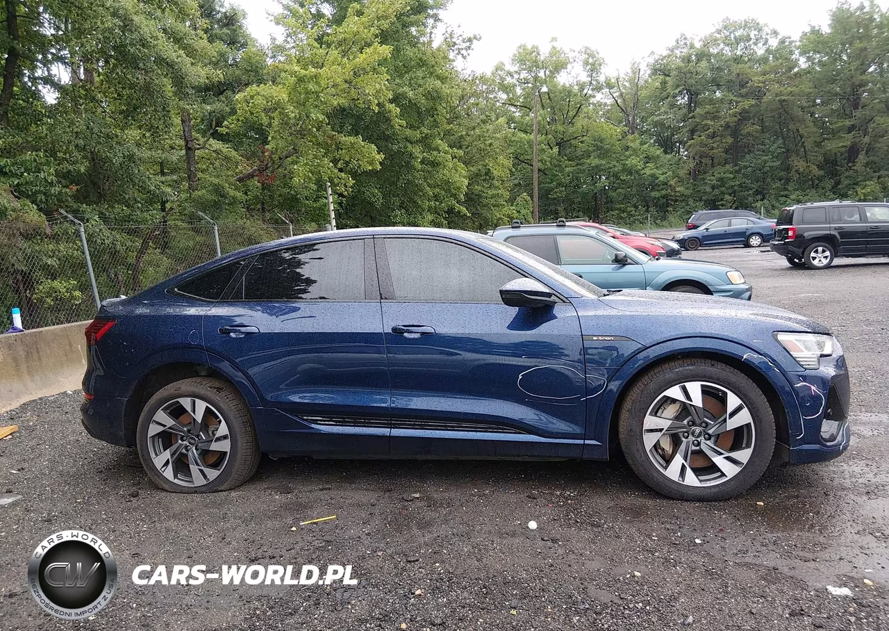 2022 Audi E-Tron Sportback Premium S Line Quattro VIN:WA11AAGE3NB028602 - 13