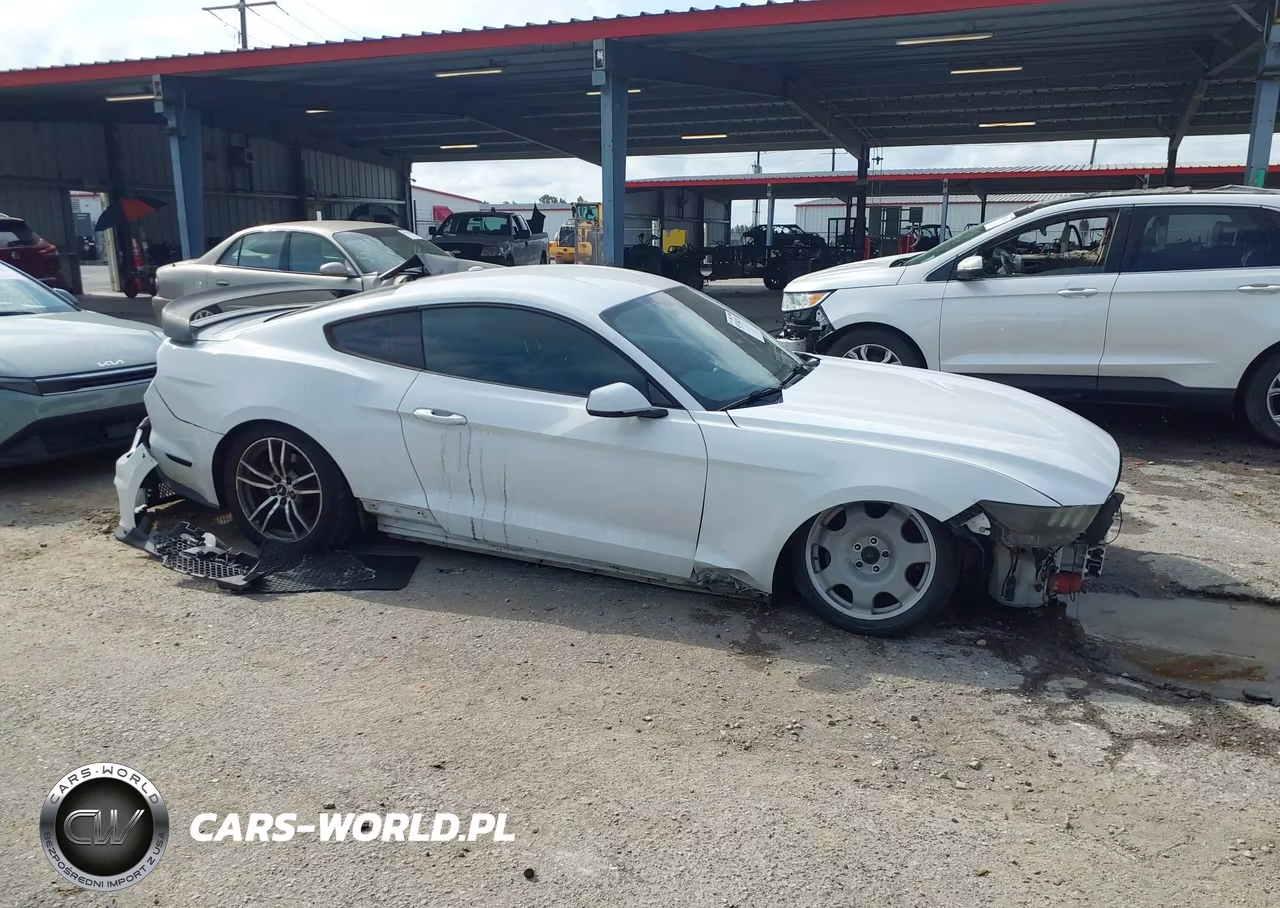 2016 Ford Mustang Ecoboost VIN:1FA6P8TH6G5280614 - 14