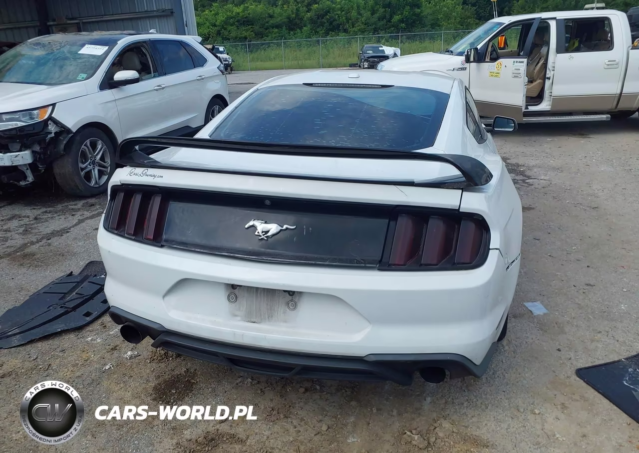 2016 Ford Mustang Ecoboost VIN:1FA6P8TH6G5280614 - 17