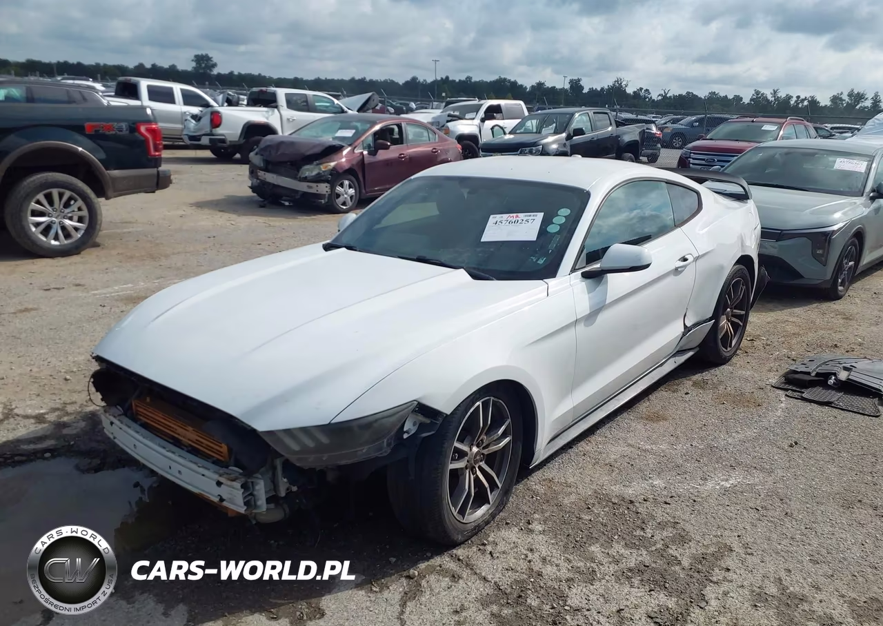 2016 Ford Mustang Ecoboost VIN:1FA6P8TH6G5280614 - 2