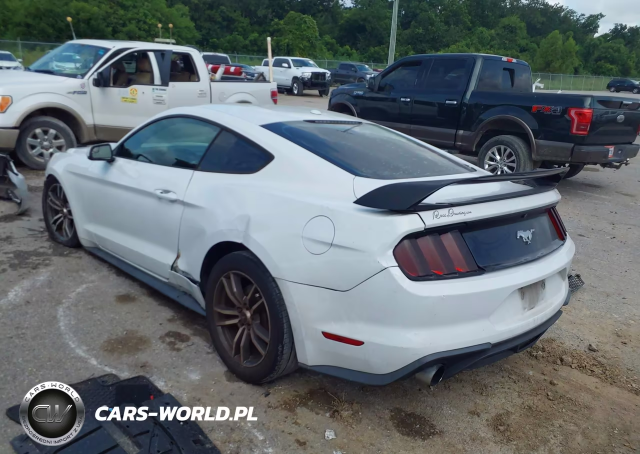 2016 Ford Mustang Ecoboost VIN:1FA6P8TH6G5280614 - 3