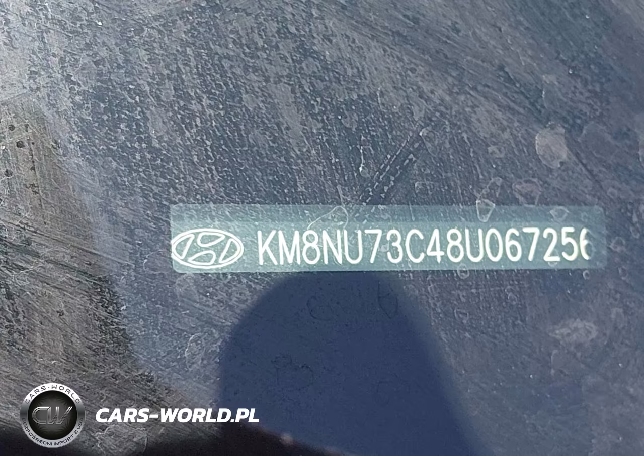 2008 Hyundai Veracruz Gls-Limited-Se VIN:KM8NU73C48U067256 - 9