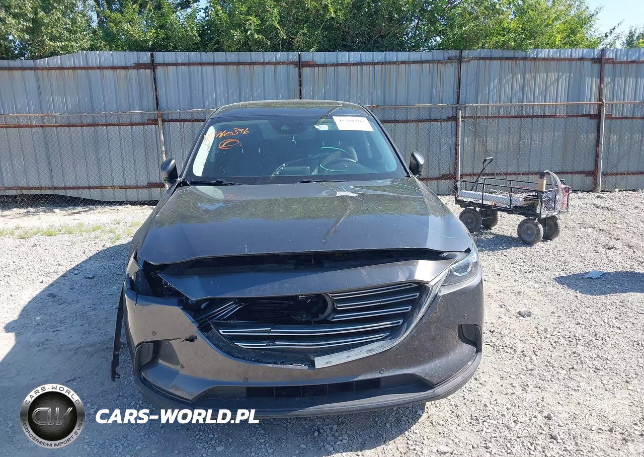 2019 Mazda Cx-9 Touring VIN:JM3TCBCYXK0325377 - 12
