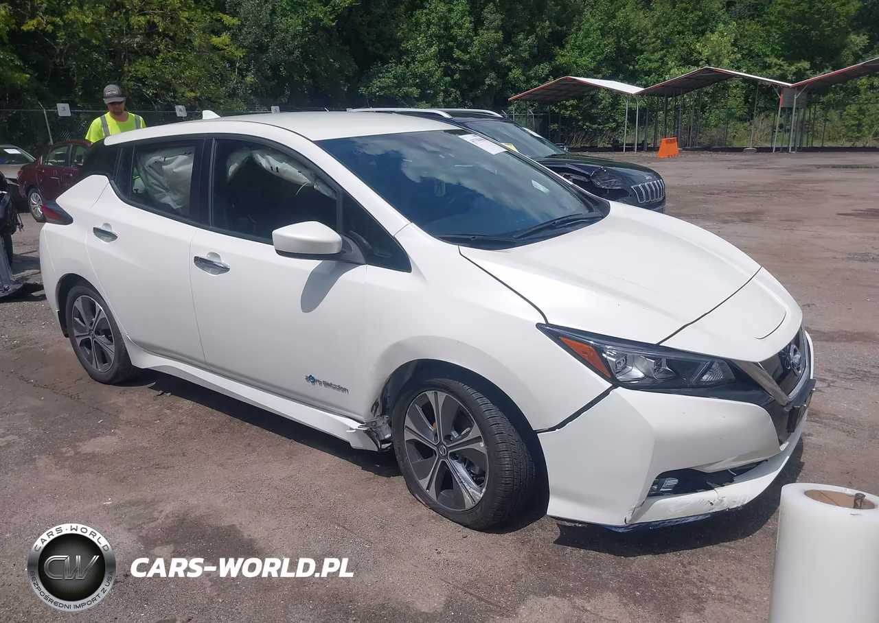 2019 Nissan Leaf Sv Plus