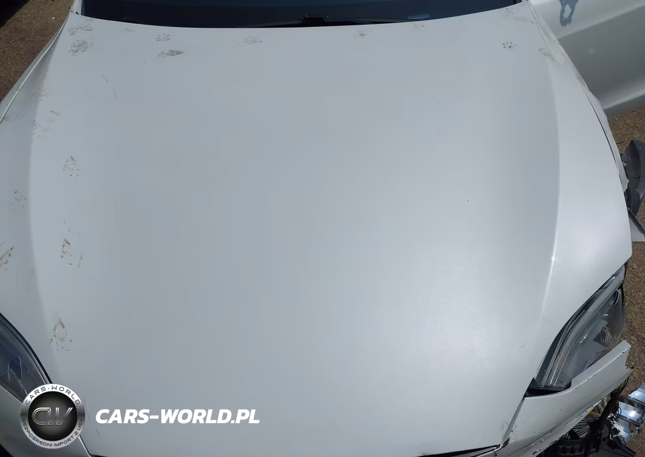2018 Tesla Model S 100D-75D-P100D VIN:5YJSA1E23JF265052 - 10