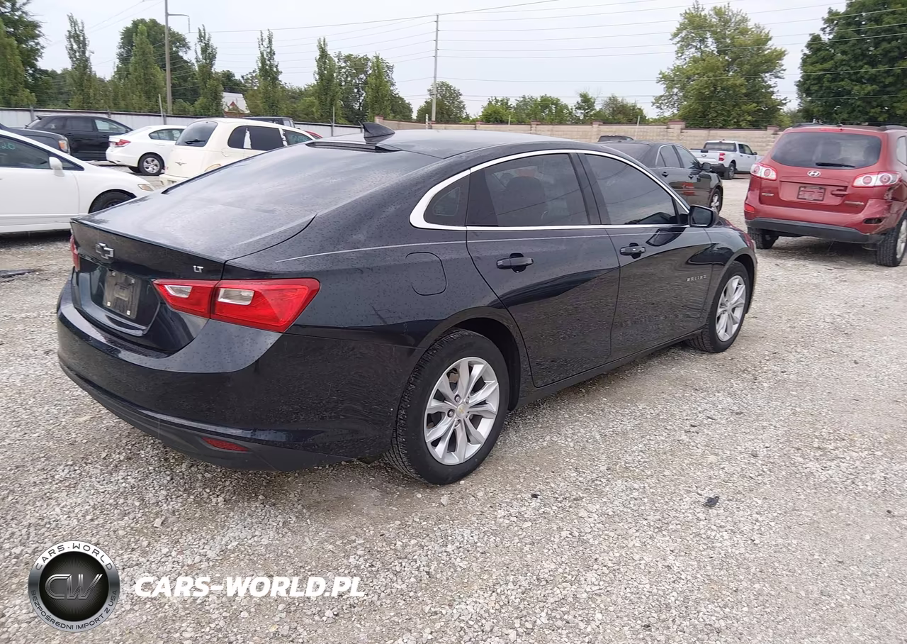 2023 Chevrolet Malibu Fwd 1Lt VIN:1G1ZD5ST8PF132505 - 4