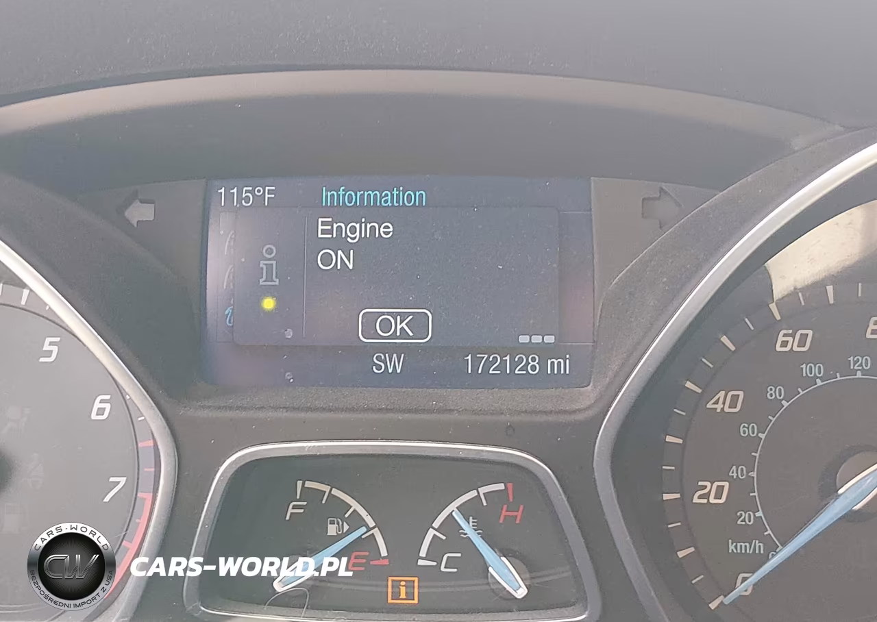 2014 Ford Focus Se VIN:1FADP3K20EL461403 - 16