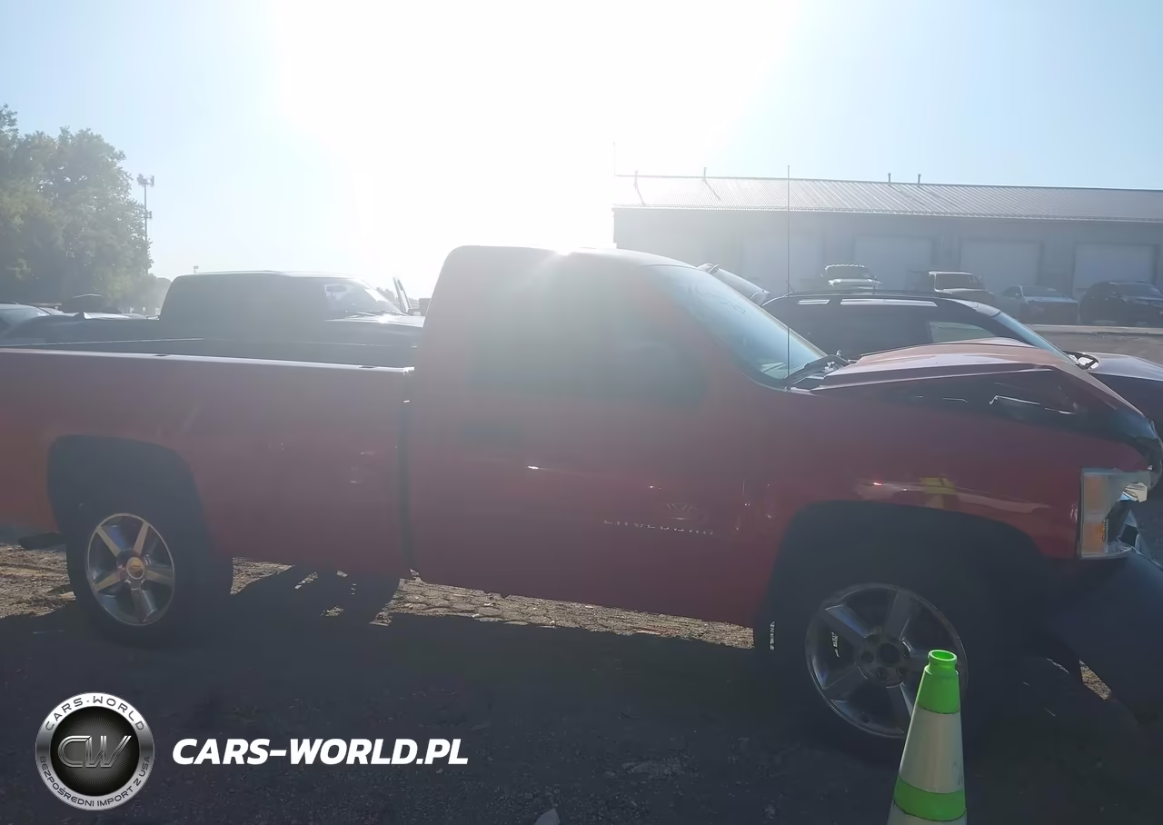 2011 Chevrolet Silverado 1500 Work Truck VIN:1GCNCPEX5BZ114988 - 12