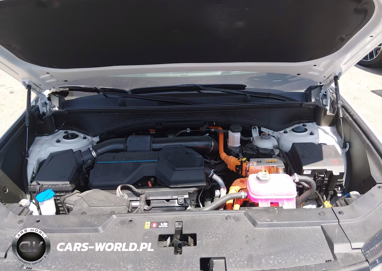 2025 Hyundai Santa Fe Hybrid Calligraphy VIN:5NMP54G18SH061931 - 10