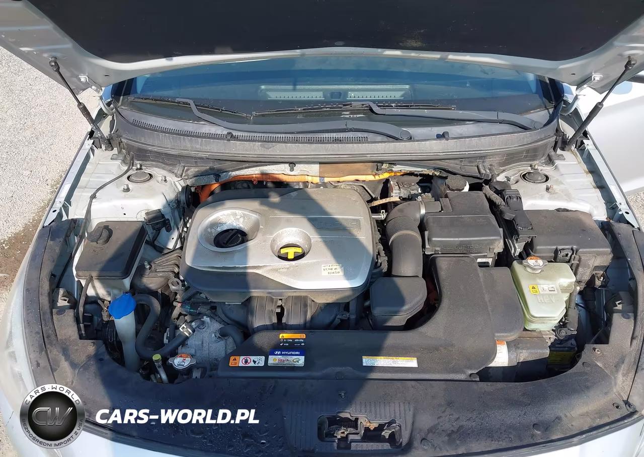 2016 Hyundai Sonata Hybrid Se VIN:KMHE24L1XGA035382 - 10