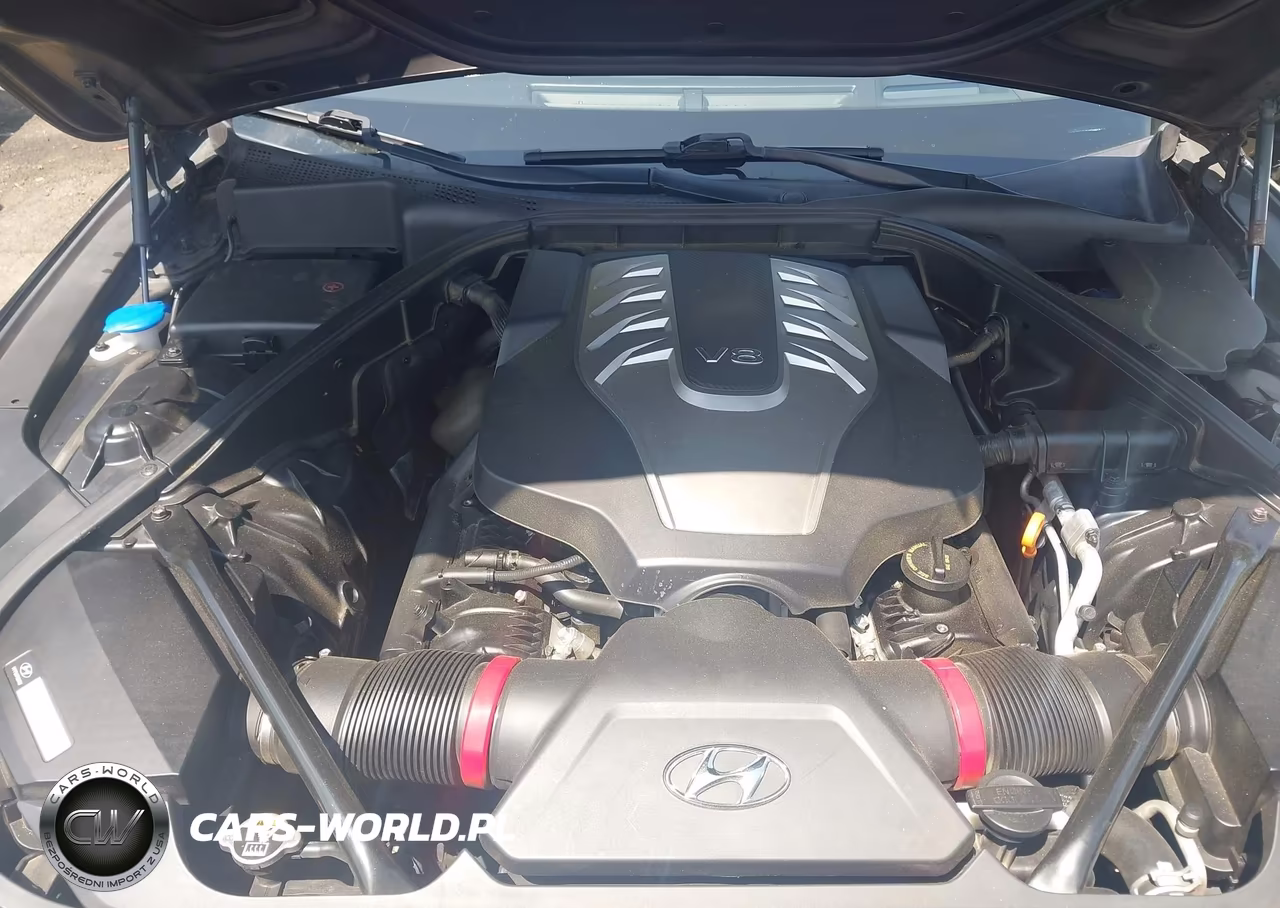 2015 Hyundai Genesis 5.0L VIN:KMHGN4JF9FU074413 - 10