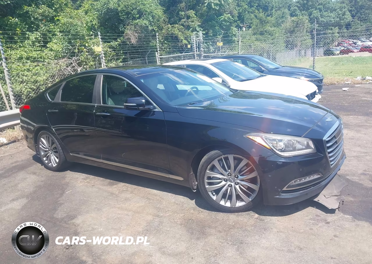 2015 Hyundai Genesis 5.0L VIN:KMHGN4JF9FU074413 - 13