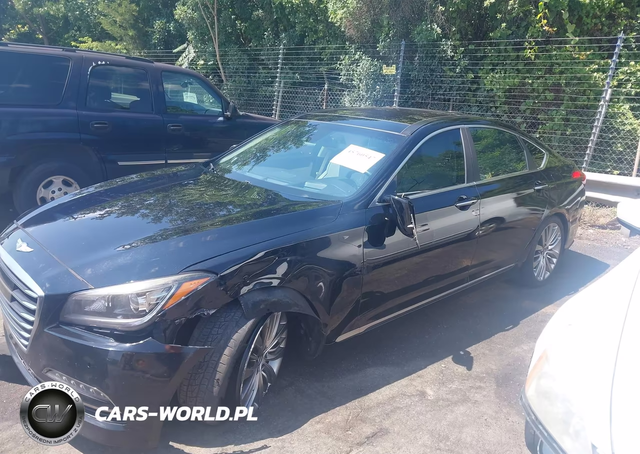 2015 Hyundai Genesis 5.0L VIN:KMHGN4JF9FU074413 - 14