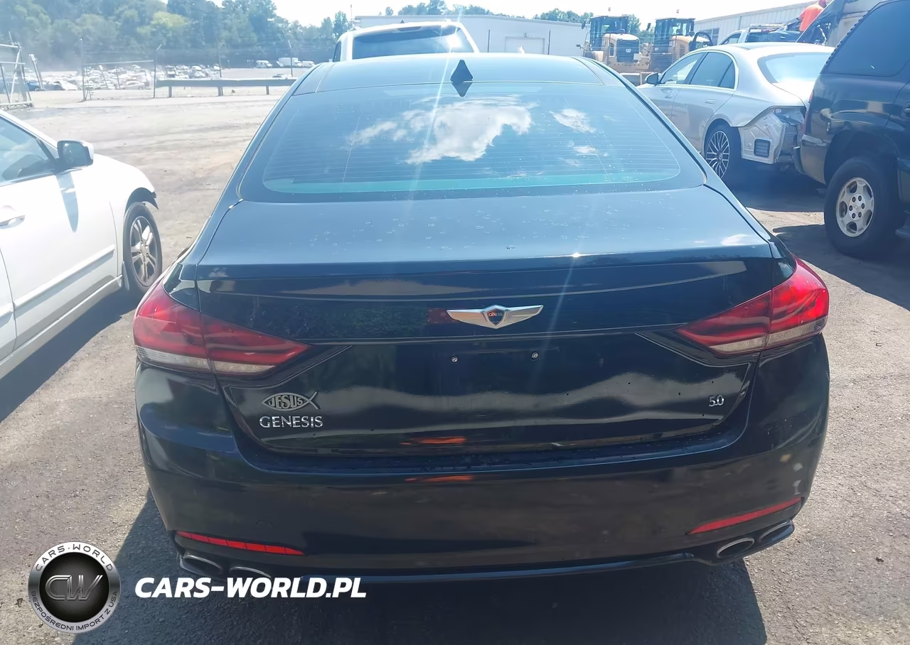 2015 Hyundai Genesis 5.0L VIN:KMHGN4JF9FU074413 - 16
