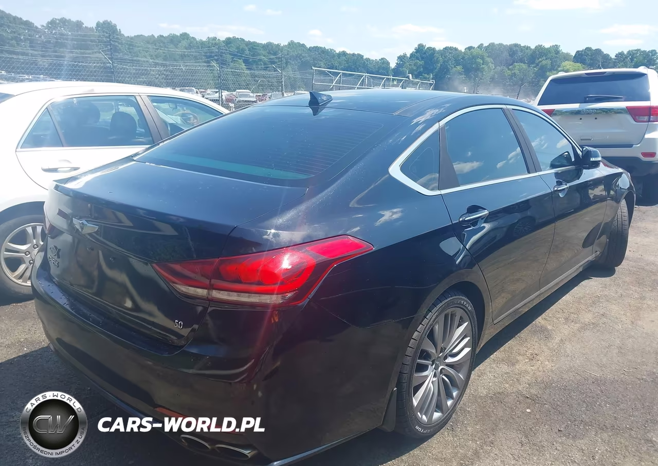 2015 Hyundai Genesis 5.0L VIN:KMHGN4JF9FU074413 - 4