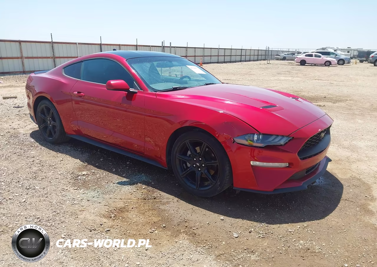 2020 Ford Mustang Ecoboost Fastback – zdjęcie 1 z 16