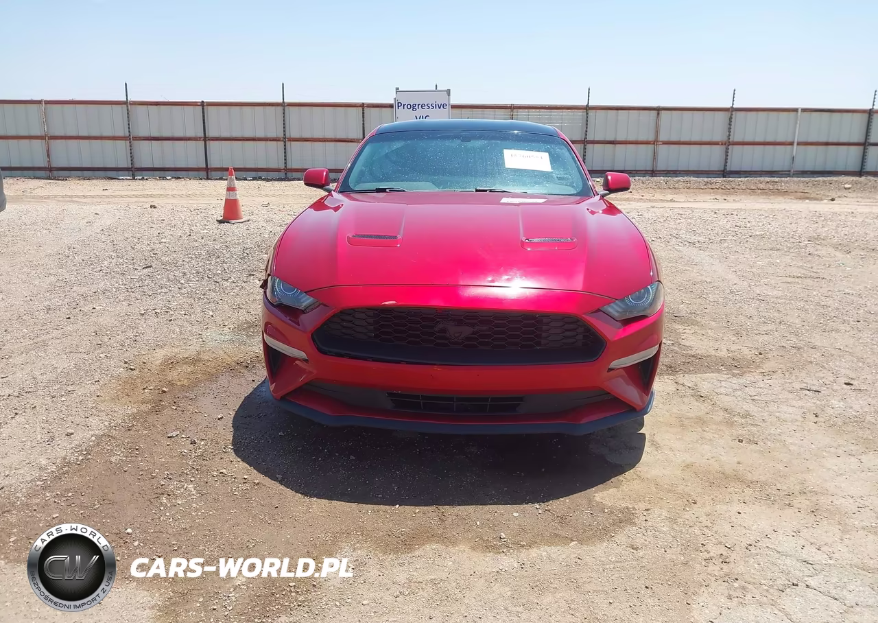 2020 Ford Mustang Ecoboost Fastback VIN:1FA6P8TH5L5158658 - 12