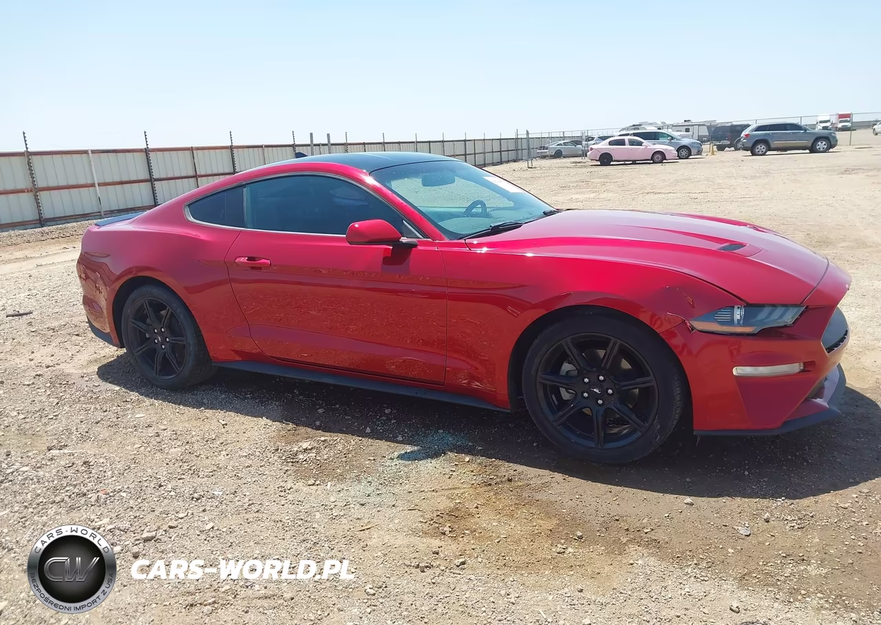 2020 Ford Mustang Ecoboost Fastback VIN:1FA6P8TH5L5158658 - 13