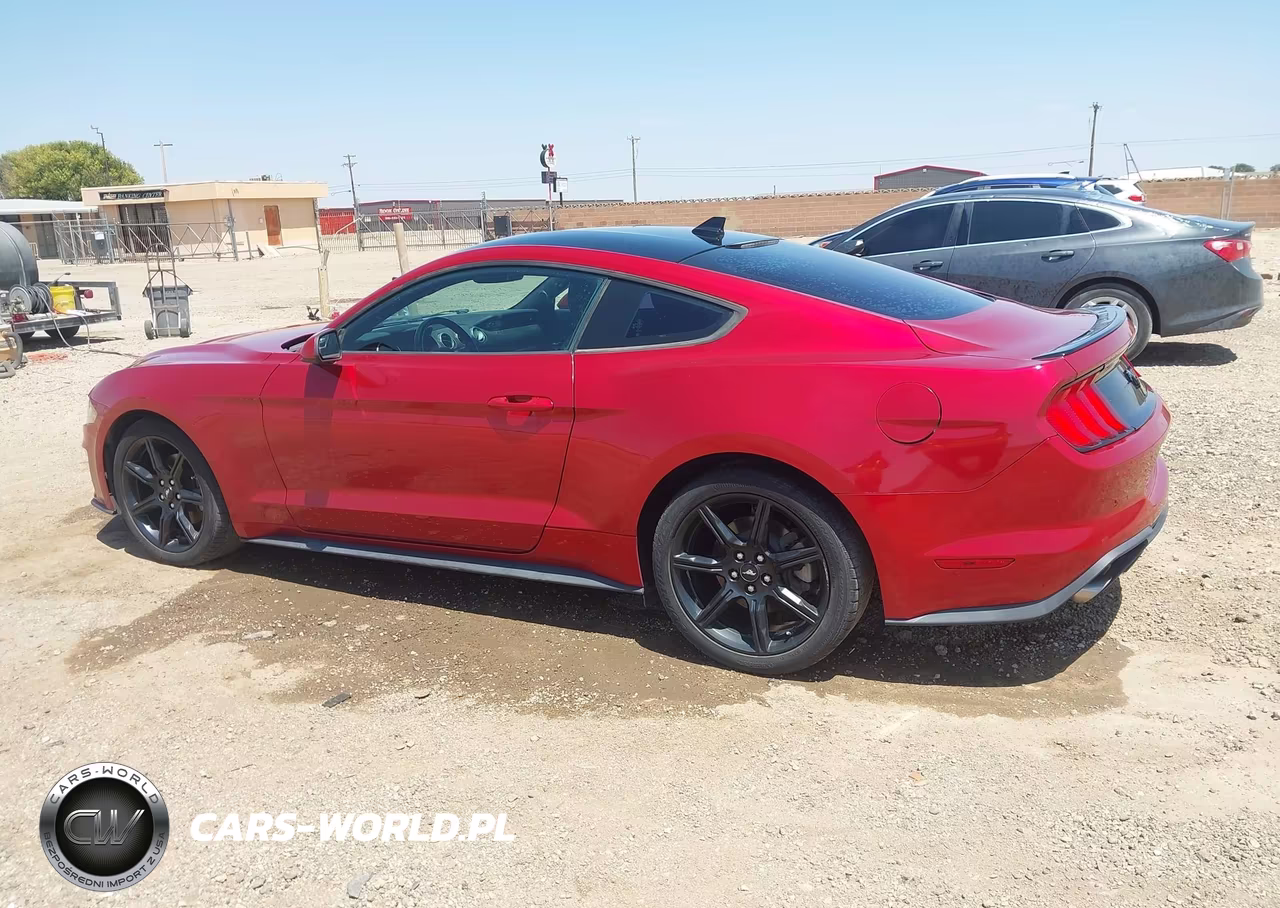 2020 Ford Mustang Ecoboost Fastback VIN:1FA6P8TH5L5158658 - 14