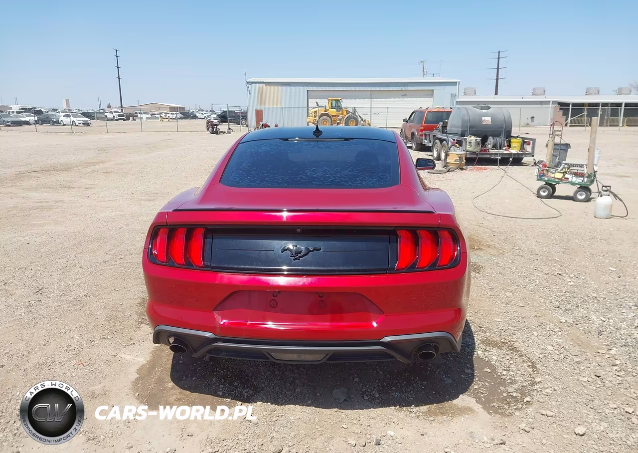 2020 Ford Mustang Ecoboost Fastback VIN:1FA6P8TH5L5158658 - 16