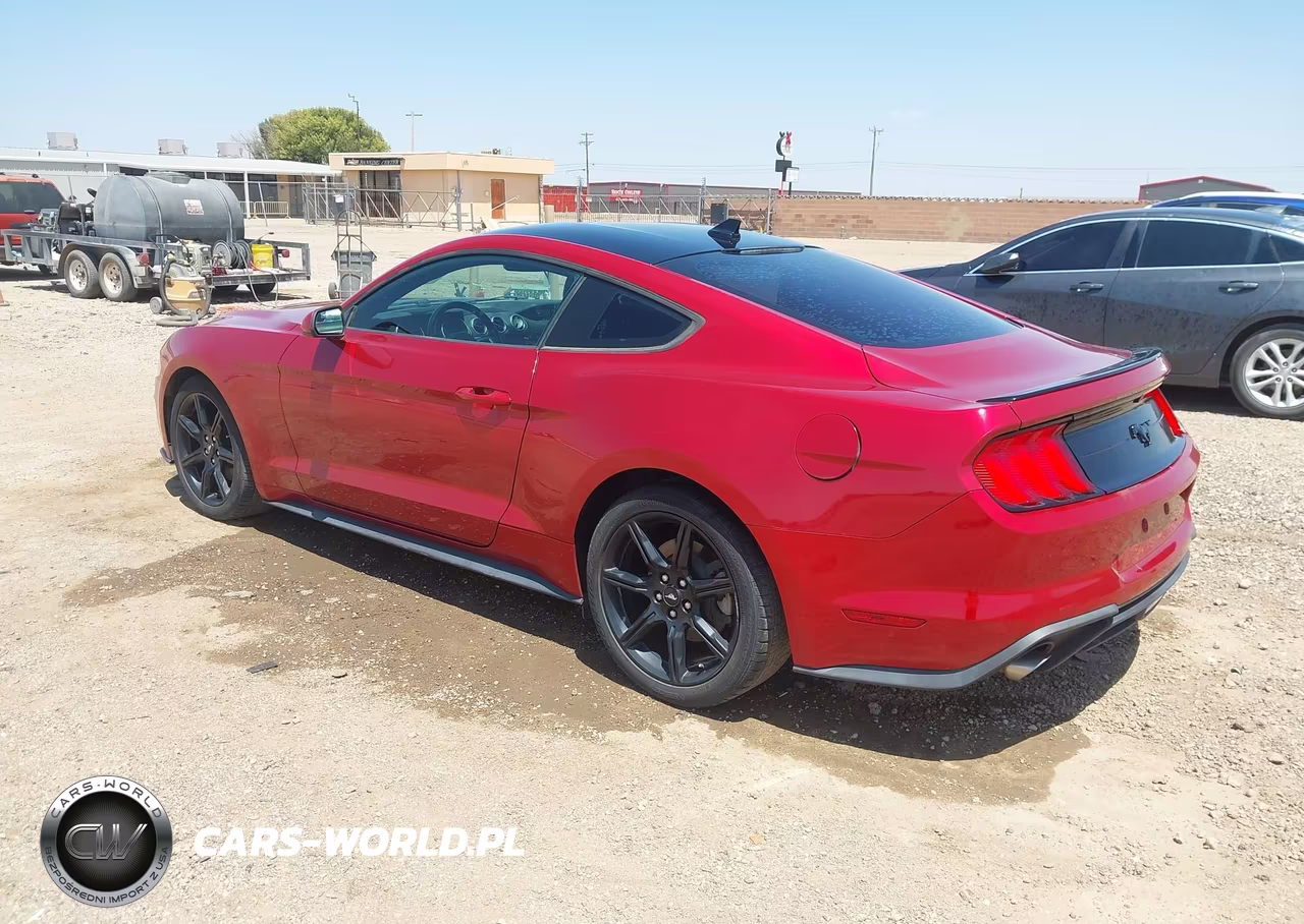 2020 Ford Mustang Ecoboost Fastback VIN:1FA6P8TH5L5158658 - 3
