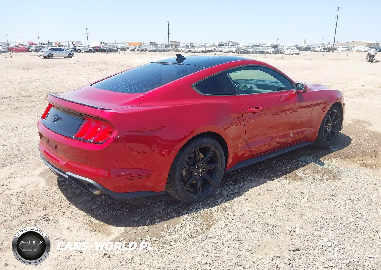 2020 Ford Mustang Ecoboost Fastback VIN:1FA6P8TH5L5158658 - 4