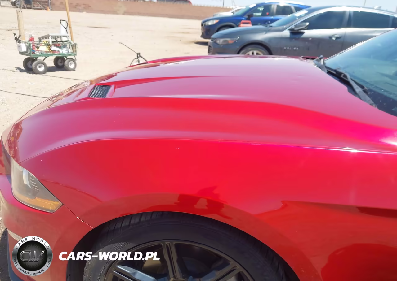 2020 Ford Mustang Ecoboost Fastback VIN:1FA6P8TH5L5158658 - 6