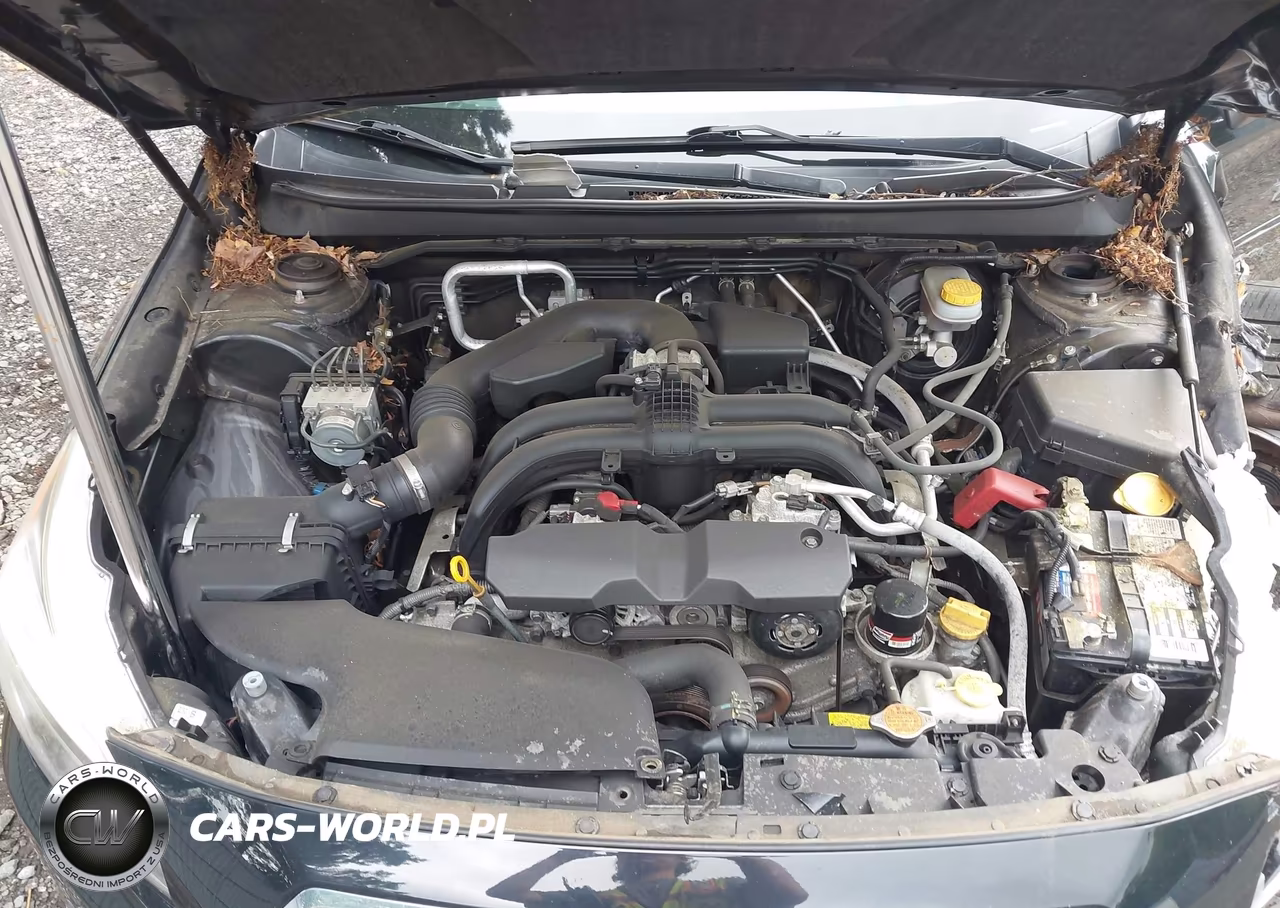 2017 Subaru Legacy 2.5I Premium VIN:4S3BNAC63H3055424 - 10