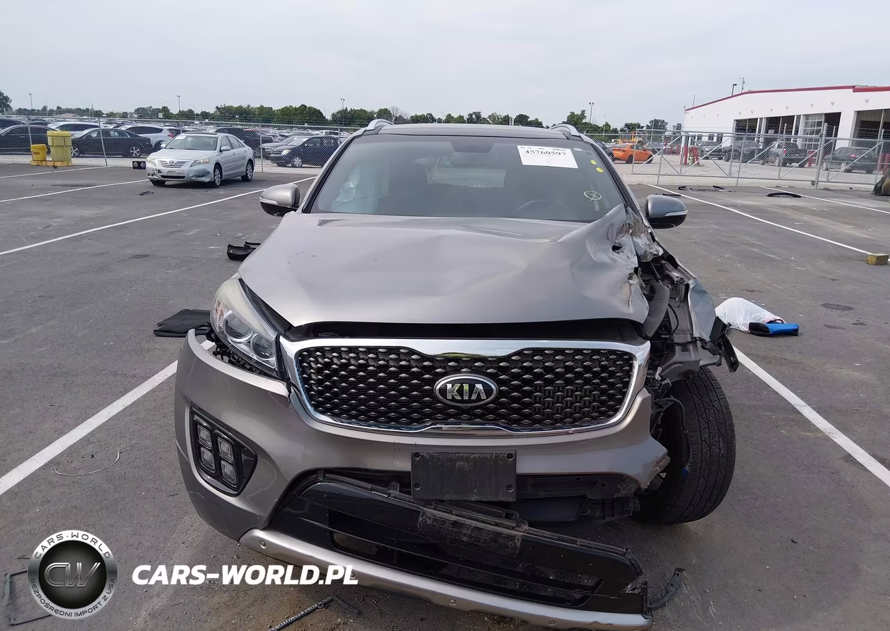 2016 Kia Sorento 2.0T Sxl VIN:5XYPKDA13GG035286 - 12