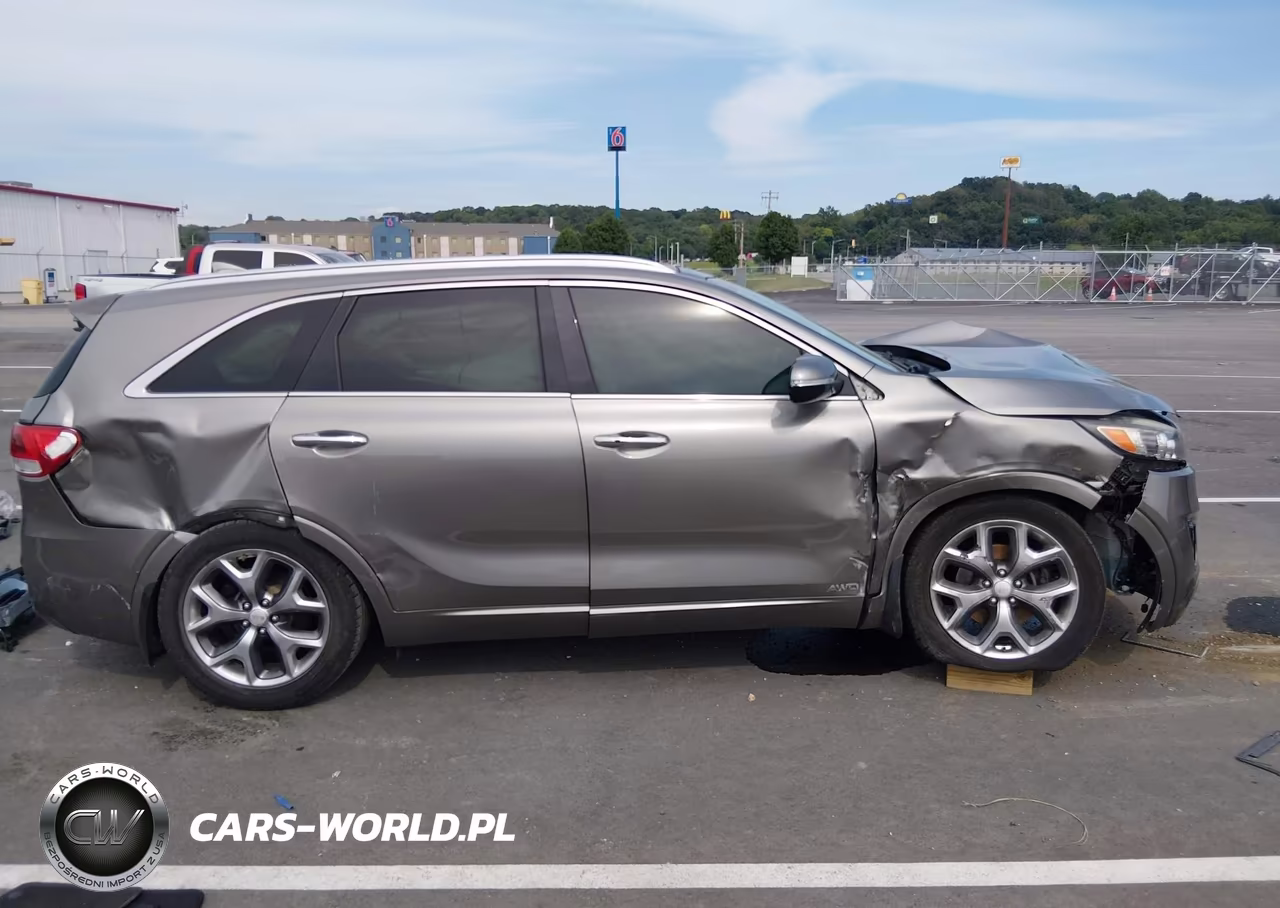 2016 Kia Sorento 2.0T Sxl VIN:5XYPKDA13GG035286 - 13