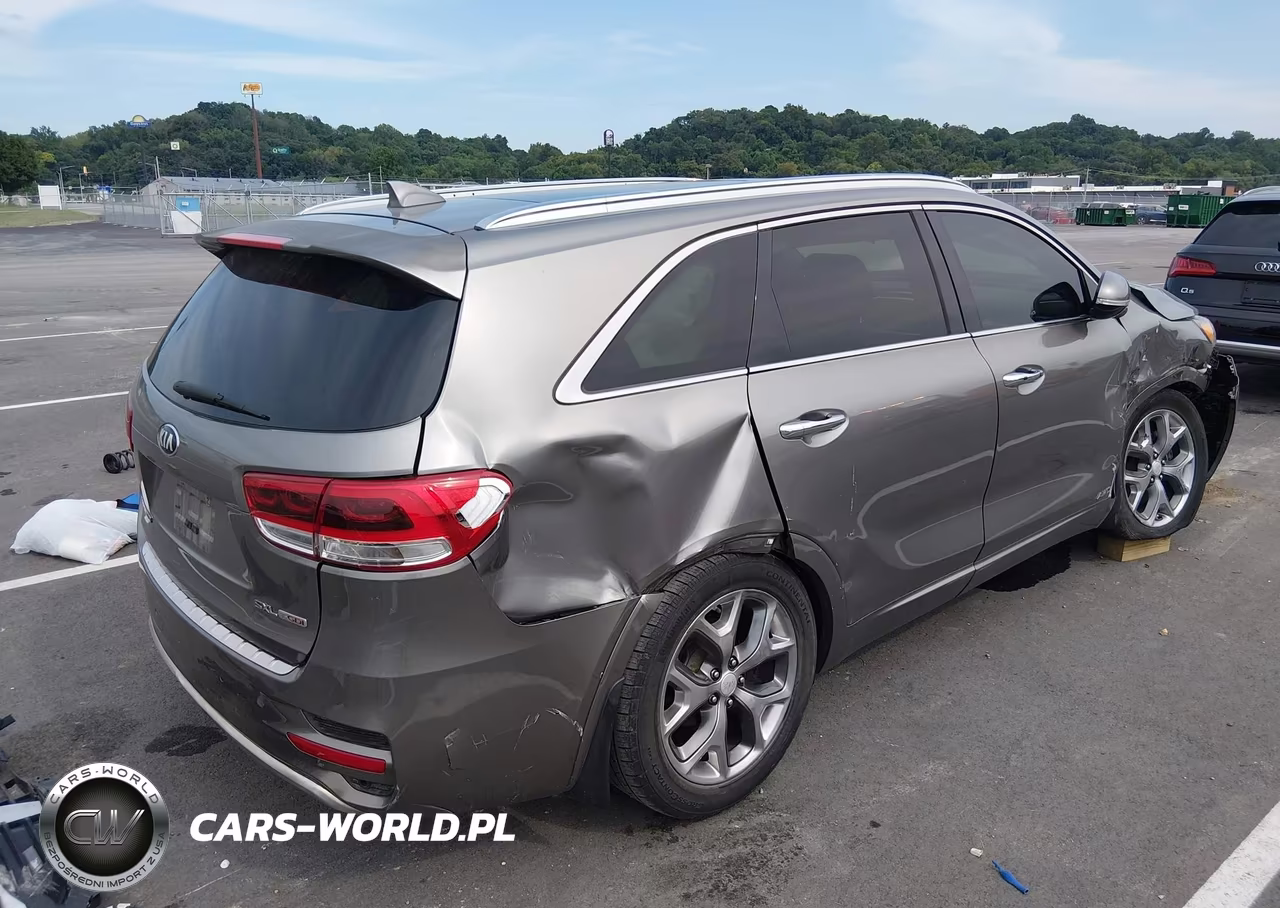 2016 Kia Sorento 2.0T Sxl VIN:5XYPKDA13GG035286 - 4