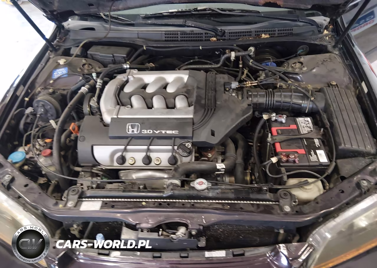 1998 Honda Accord Lx V6 VIN:1HGCG1641WA013322 - 10