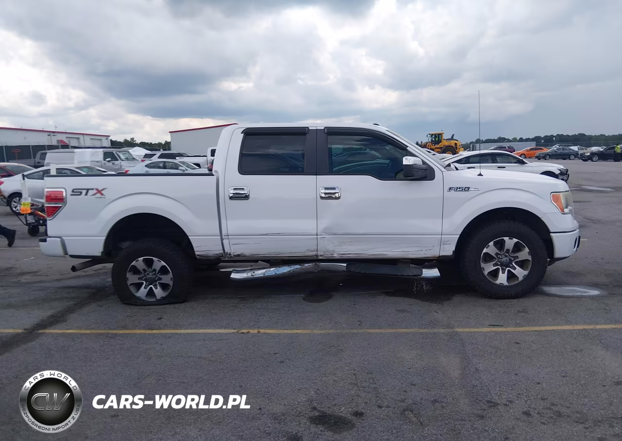 2014 Ford F-150 Stx VIN:1FTFW1EF1EKF23115 - 13