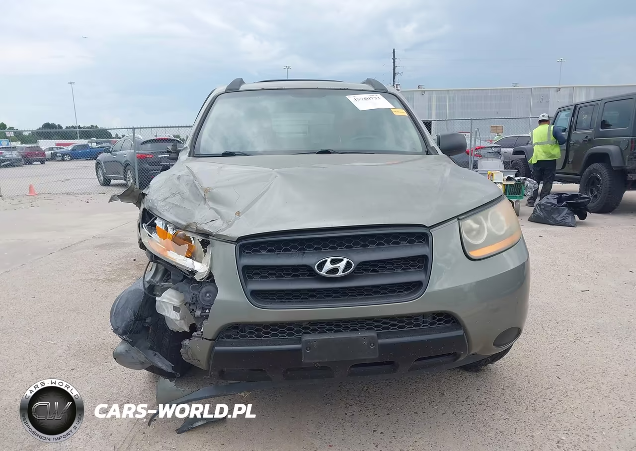 2009 Hyundai Santa Fe Gls VIN:5NMSG13D69H257248 - 12