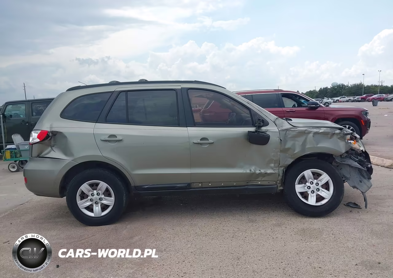 2009 Hyundai Santa Fe Gls VIN:5NMSG13D69H257248 - 13