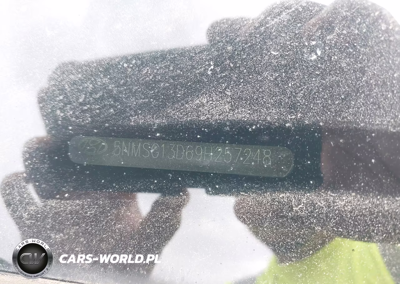 2009 Hyundai Santa Fe Gls VIN:5NMSG13D69H257248 - 17